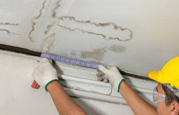 Reliable Structural Drying contractor in Forestburg, TX by Water Damage Irwin